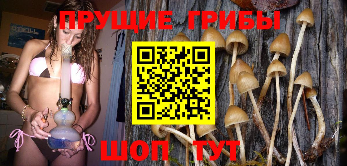 Ейск  Галлюциногенные грибы GOLDEN TEACHER  Вход с VPN 